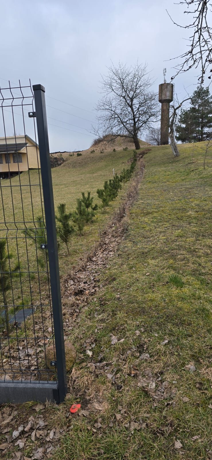 Tvora šalia naujai apsodintų medelių